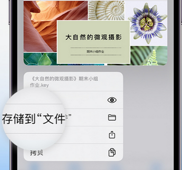 临汾apple维修中心分享iPhone文件应用中存储和找到下载文件