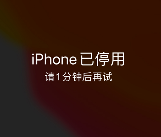 临汾苹果手机维修分享:iPhone 显示“不可用”或“已停用”怎么办？还能保留数据吗？ 