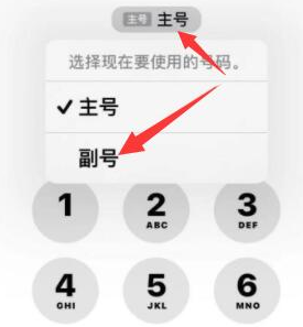 临汾苹果14维修店分享iPhone 14 Pro Max使用副卡打电话的方法 