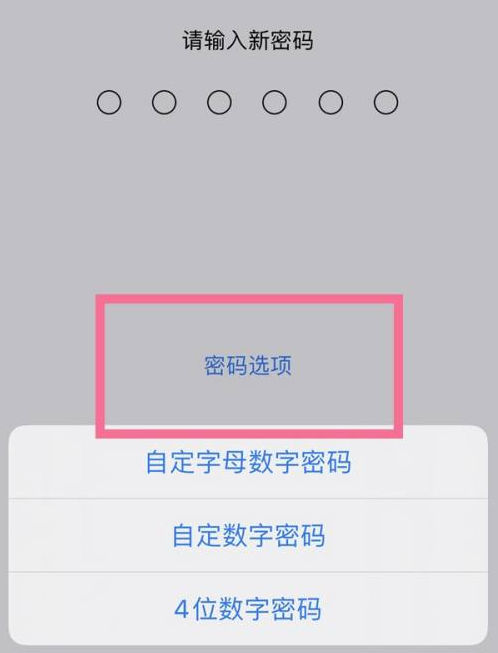 临汾苹果14维修分享iPhone 14plus设置密码的方法 