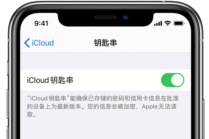 临汾苹果手机维修分享在 iPhone 上开启 iCloud 钥匙串之后会储存哪些信息 