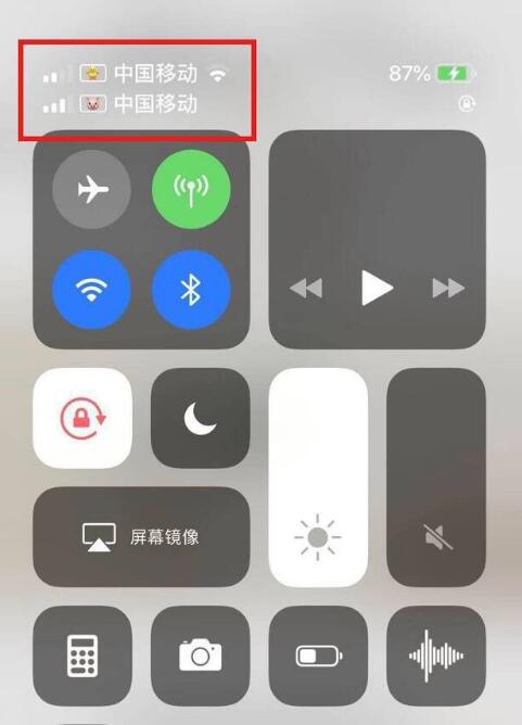 临汾苹果手机维修分享为 iPhone 12 双卡设置标签 