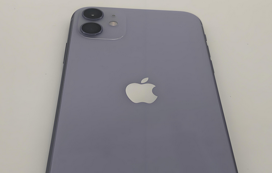 临汾苹果11系统维修分享iPhone11手机系统崩溃无法开机如何解决 